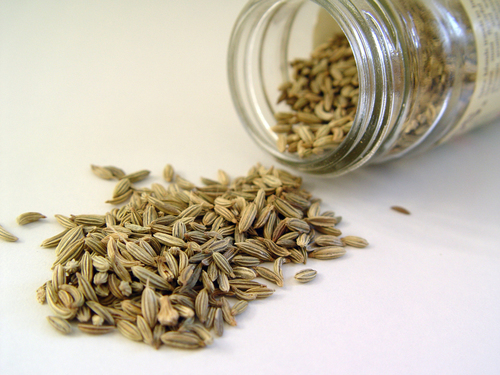 Dion Spice - Fennel Seed Product Image
